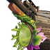 Mandrake Figurehead